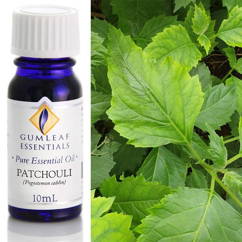Patchouli Essential Oil Essential Oil Buckley & Phillips