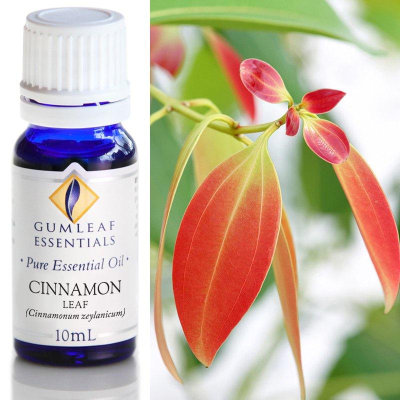 Cinnamon Leaf Essential Oil Essential Oil Buckley & Phillips