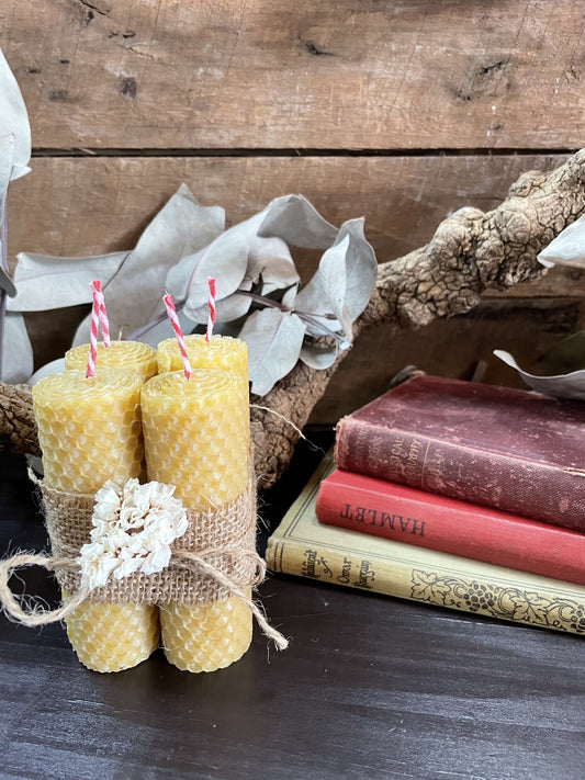 Honey Infused Beeswax Candles Homewares HAEL XIII 