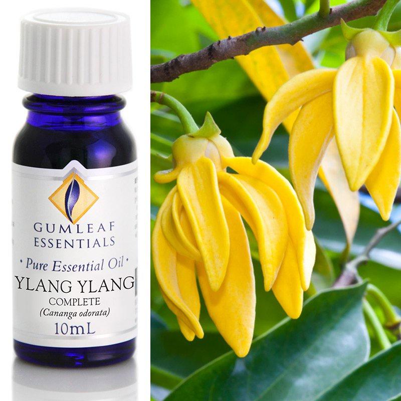 Ylang Ylang Essential Oil Essential Oil Buckley & Phillips 